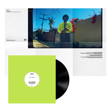 MOVING DAY VINYL