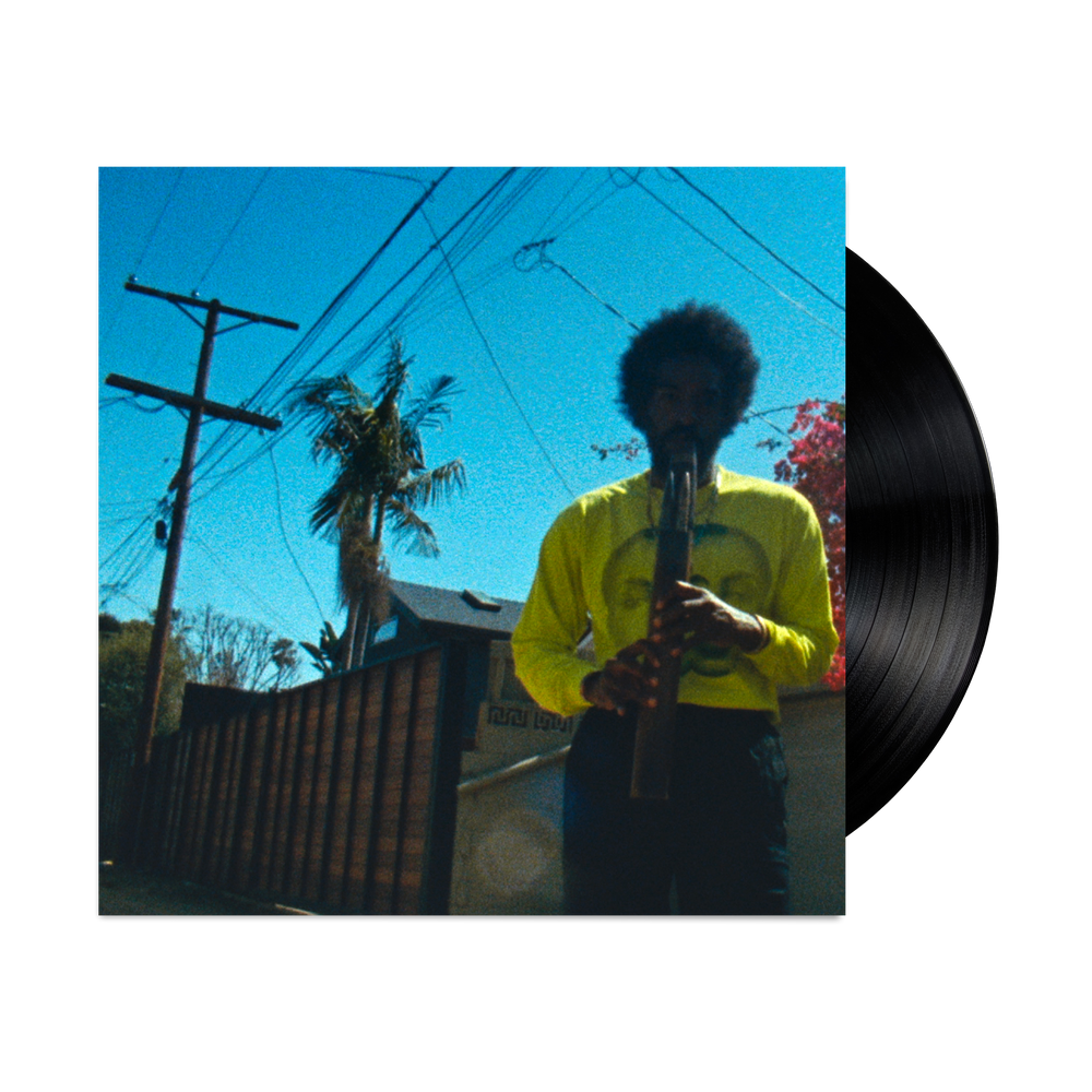 MOVING DAY VINYL