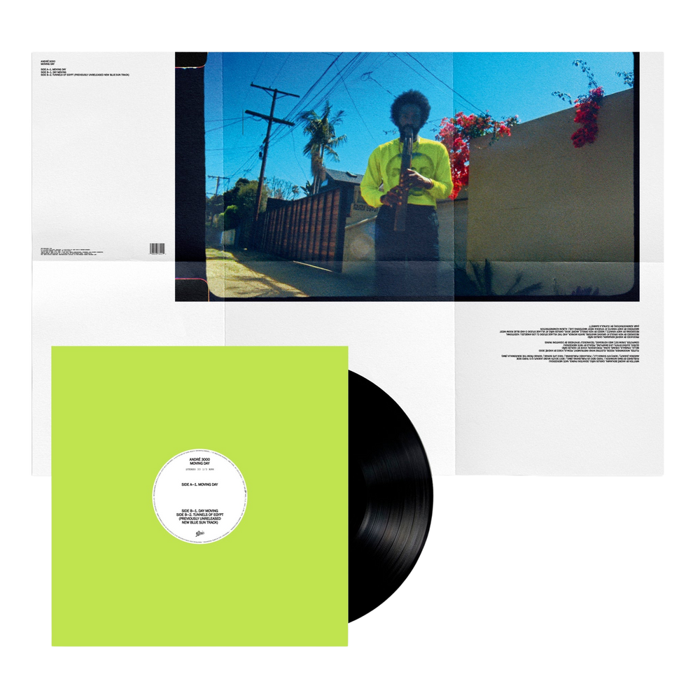 MOVING DAY VINYL